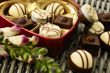 pralinen b