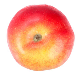 Fresh red-yellow apple