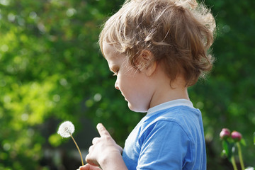 Little cute boy holding a dandelion outdoors