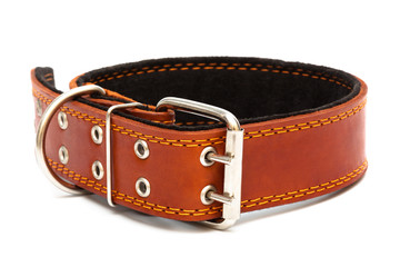 dog collar