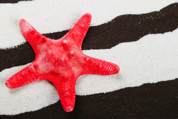 Sea star