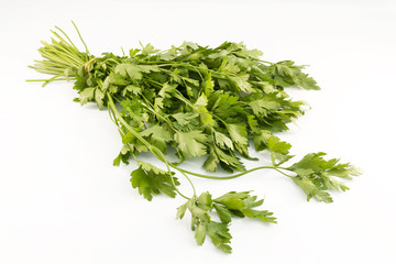 Bouquet of parsley on white background