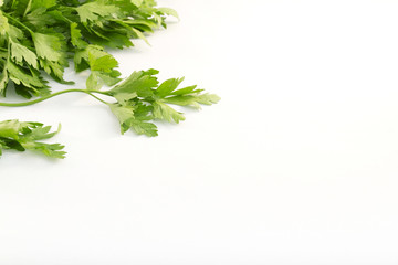 Bouquet of parsley on white background