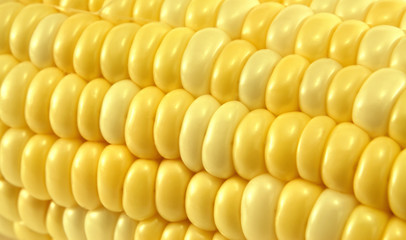 Yellow corn macro