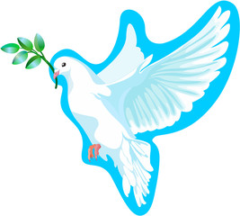 This is a white dove of peace, it is keeping the a green branch