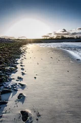 Fototapeten footsteps on the beach © Niels