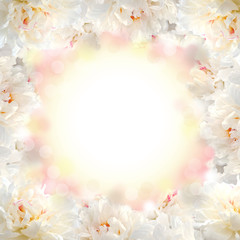 Background with beautiful white peonies
