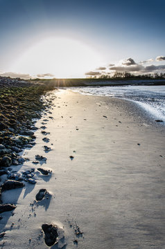 footsteps on the beach