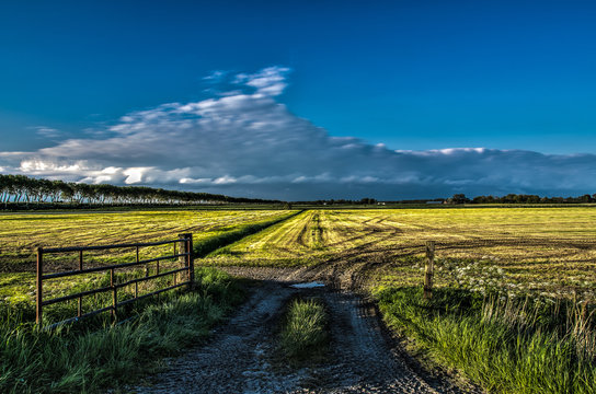 farm view
