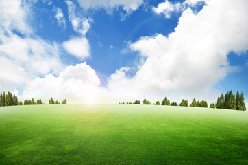 Green grass landscape blue sky for Backgrounds and design