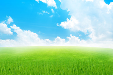 Obraz premium Green field and sky blue with white cloud