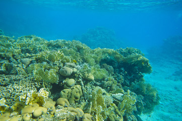 Fototapeta premium South afric