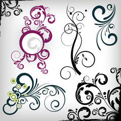 vector floral design elements