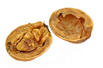 open nut of walnut arranged on white