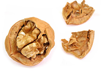 close up of broken shell of walnut
