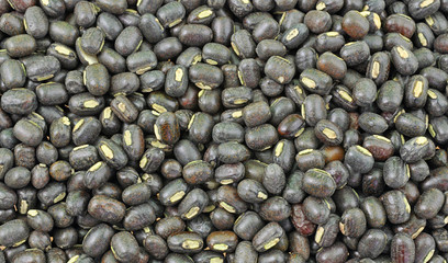 close up of seeds of black gram