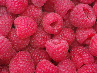 raspberry background