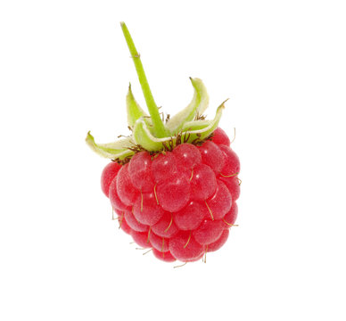 Raspberry