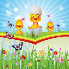 Three chicken hen in the grass