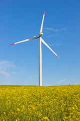 Windmill in rape field