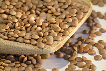 Lentil on a wooden spoon