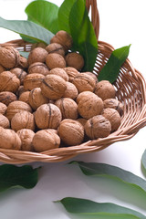 Walnuts in a basket