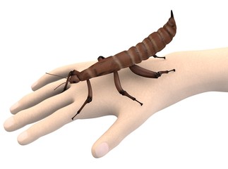 3d render of hand with spectre insect