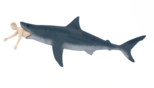 3d render of artificial character eaten by shark