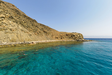 Obraz premium Diving in Egypt