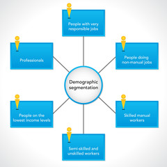 Demographic segmentation