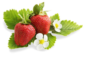 ripe juicy strawberries, isolation