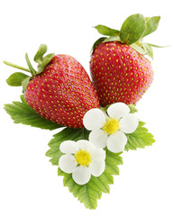 juicy strawberries, isolation