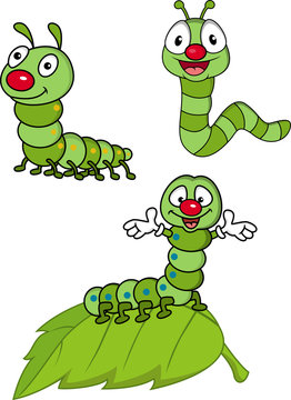 Larva cartoon Character