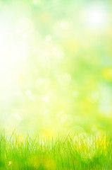 abstract nature background spring greens - 41674426