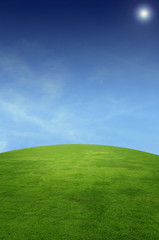 landscape with grass field