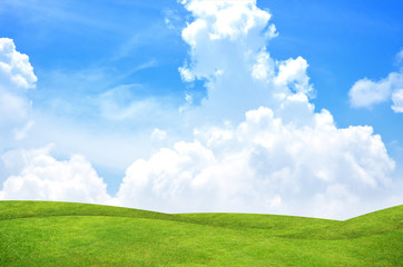 Fototapeta premium Green grass landscape