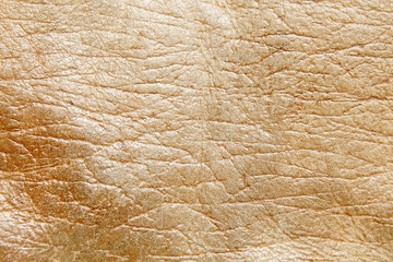 The Leather texture closeup with detail .