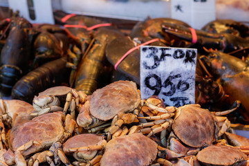 Crabs for sale