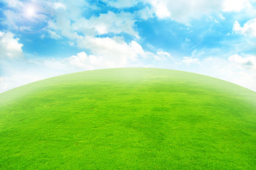 Obraz premium Green grass landscape blue sky for Backgrounds and design