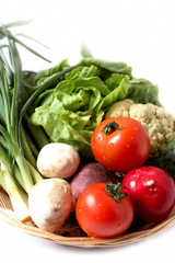 basket with vegetables