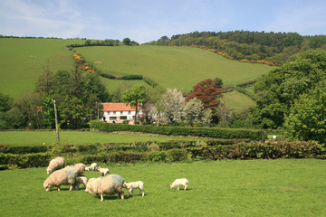 Village of Malmsmead in Exmoor
