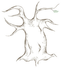 Vector stroke crooked tree on a white background
