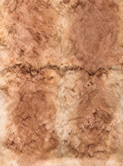 Ginger leathers of rabbits, four pieces together