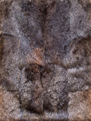 Dark leathers of rabbits, four pieces together