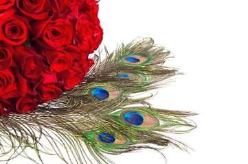 Obraz premium Roses and peacock feathers