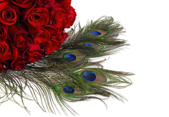 Obraz premium Roses and peacock feathers