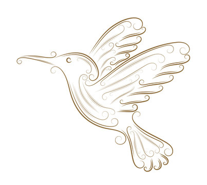 recommend clip art: Sketch of hummingbird
