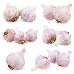 Set of purple garlics isolated on white