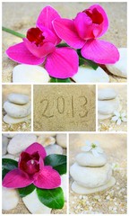 2013,nouvelle année,composition,naturelle