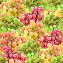 Seamless pattern of fresh ripe motley grape